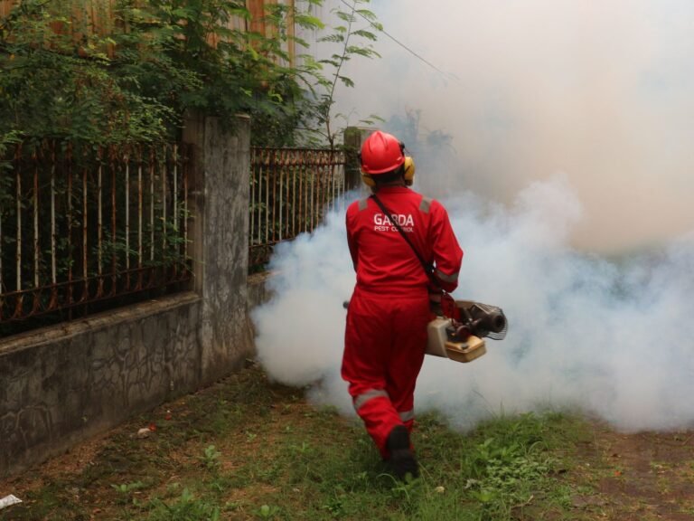 Pest control technician at work