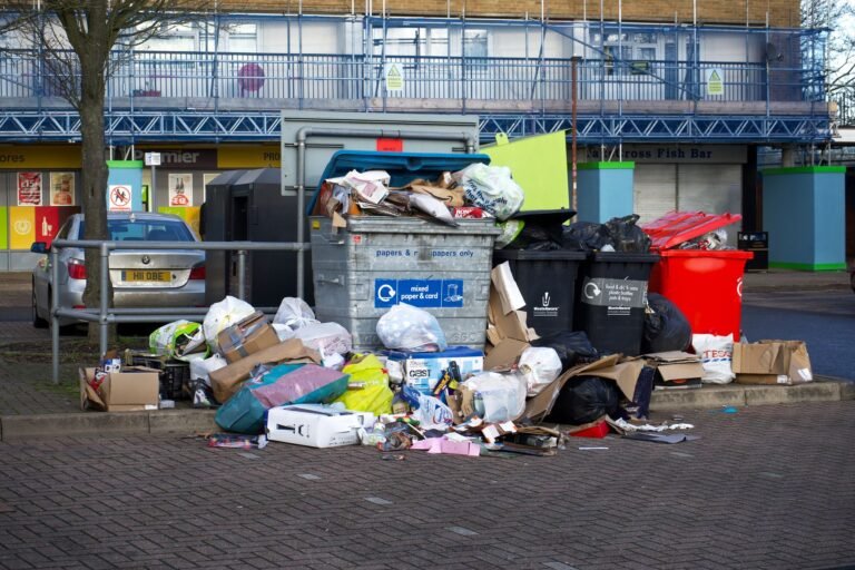 Overflowing trash that attracts rodents