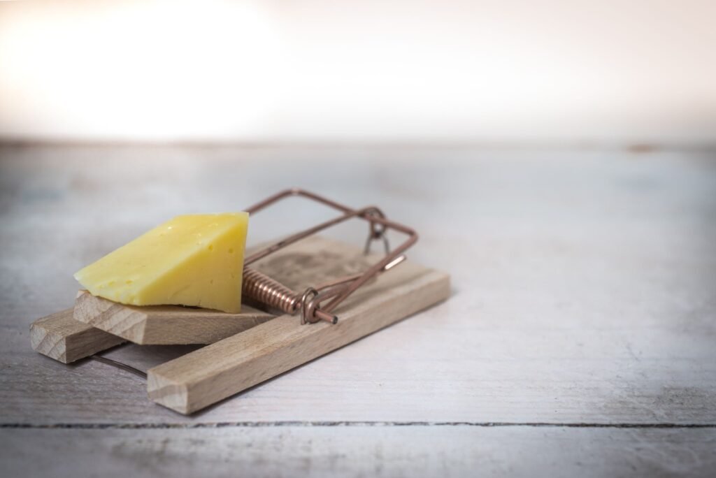 Wooden snap trap baited with food
